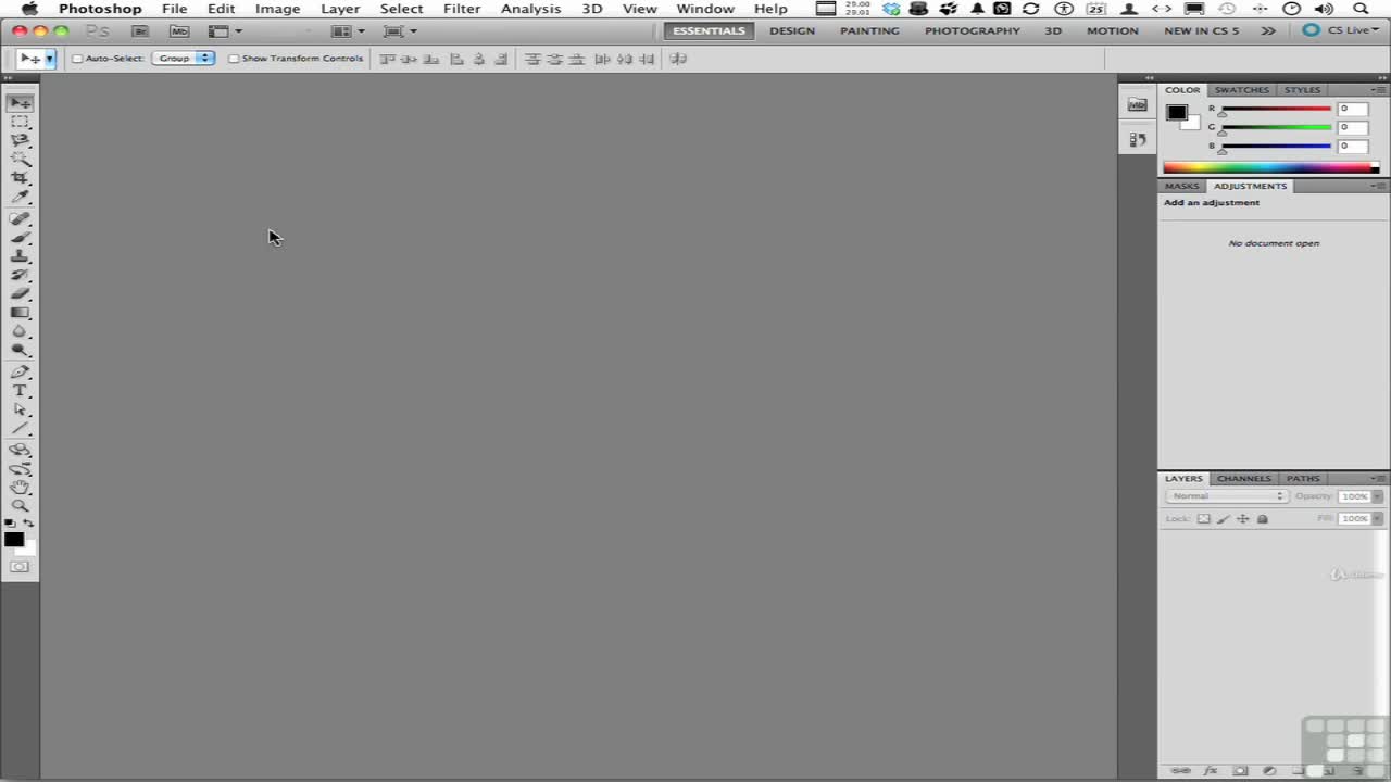 Working With The Quick Selection Tool