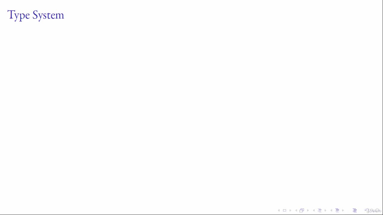 Type System