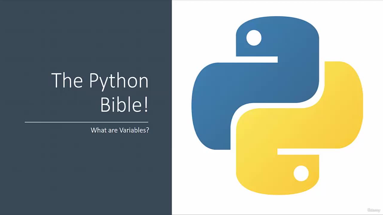 What is a variable?