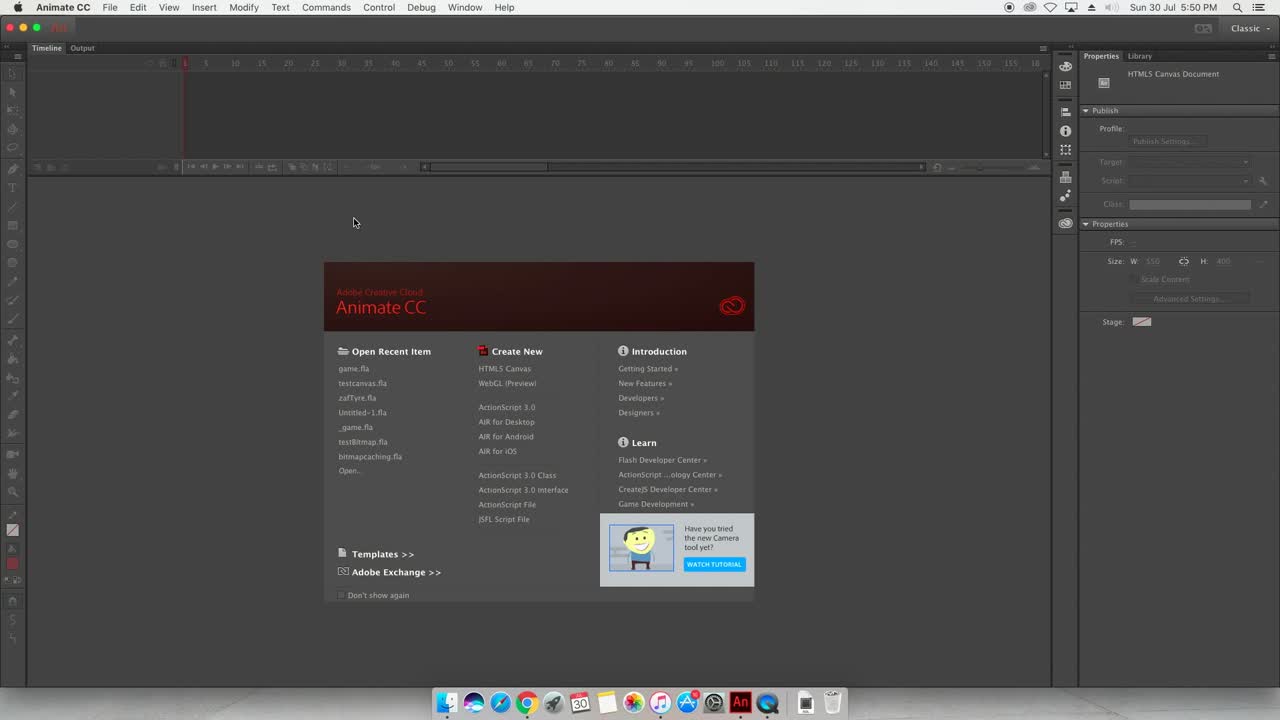 Animate CC workspace