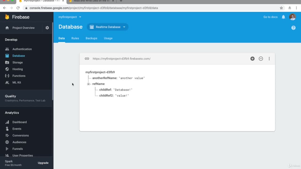 Fetching and retrieving data from the Firebase database