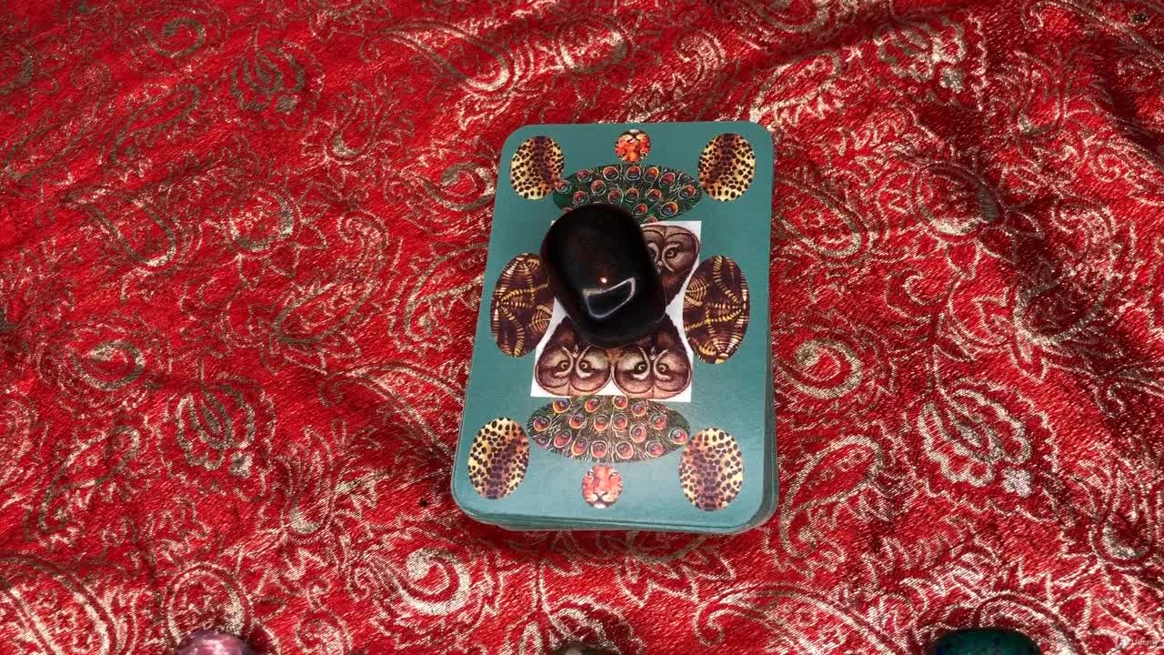 Using Animal Oracle Cards for Health Readings