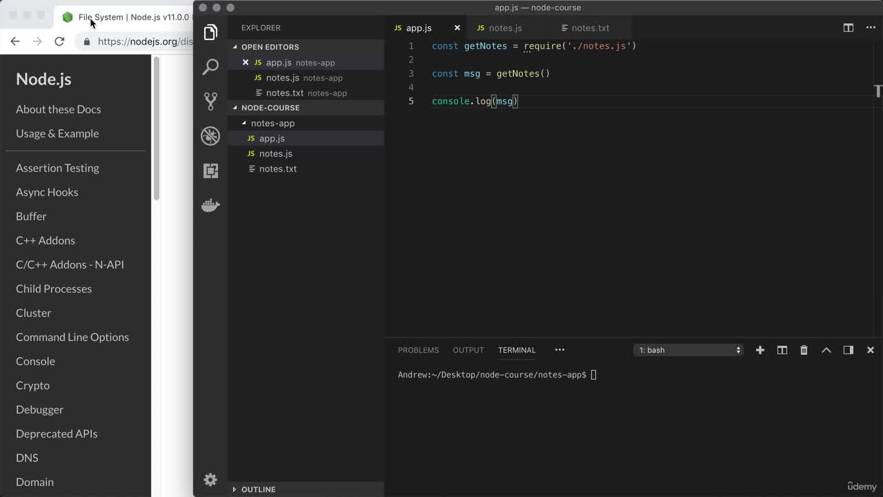 Importing npm Modules