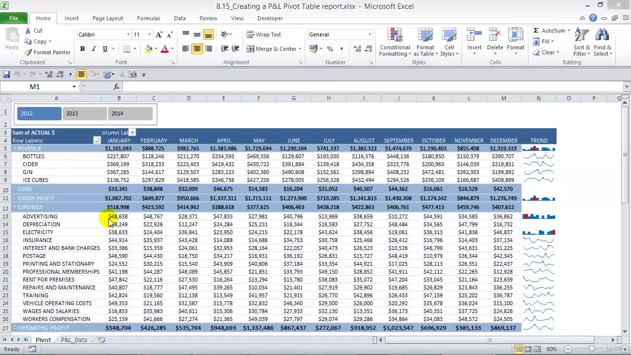 CASE STUDY ~ ACCOUNTING: Creating a P&L Pivot Table Report