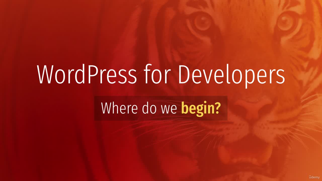 What is a Dev Environment? (Your First Installation)